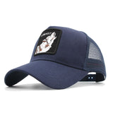 DONALD DUCK CAP