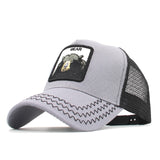 DONALD DUCK CAP