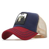 DONALD DUCK CAP