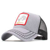 DONALD DUCK CAP