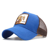 DONALD DUCK CAP