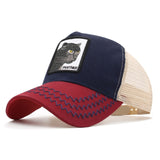 DONALD DUCK CAP